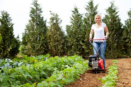 Motobineuses NANO 30K 22M 20R Pubert fraises émousseur potager guidon